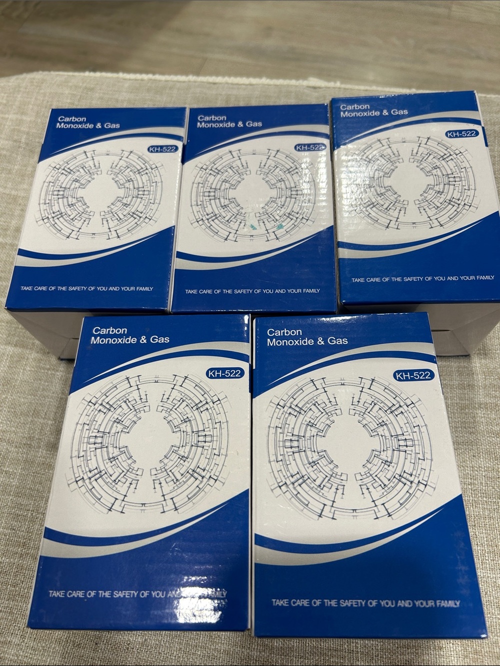Carbon Monoxide & Gas Detector - Blue and White
